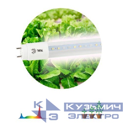 Лампа светодиодная FITO-18W-Ra90-Т8-G13-NL 18Вт T8 линейная 92LED 2835 IP20 35000ч для растений полноспектральная стекло Эра Б0042987
