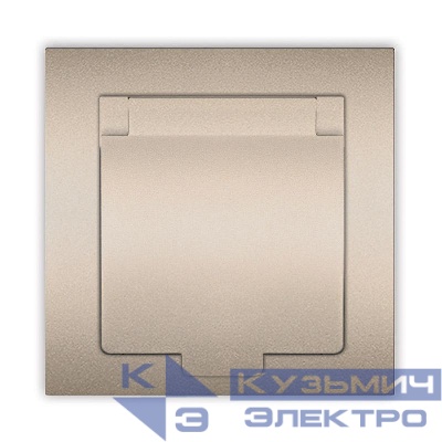 Розетка 1-м СП Афина 16А IP20 с заземл. с крышкой в сборе шампань Universal A0029-Br