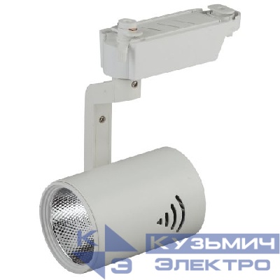 Светильник трековый TR1-20 20Вт COB 1ф WH бел. Эра Б0032098
