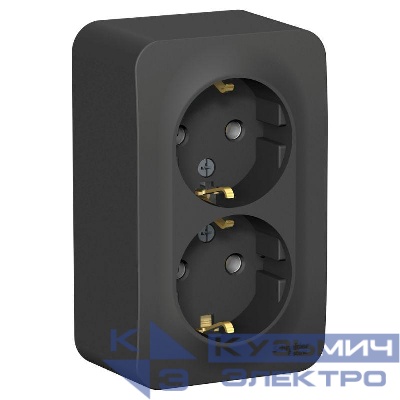 Розетка 2-м ОП Blanca 16А IP20 250В с заземл. без защ. шторок с изолир. пластиной антрацит SE BLNRA010216