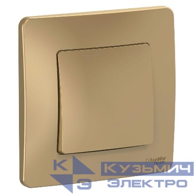 Переключатель проходной 1-кл. СП Blanca 10А IP20 (сх. 6) 250В титан SE BLNVS010604