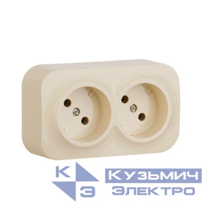 Розетка 2-м ОП Quteo 16А IP20 250В 2х2P без заземл. без защ. шторок сл. кость IEK 782261