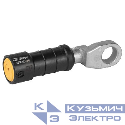 Наконечник герметичный изолированный CPTAU-50 Эра Б0064193