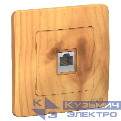 Розетка компьютерная 1-м СП Blanca RJ45 кат.5E ясень SE BLNIS045005