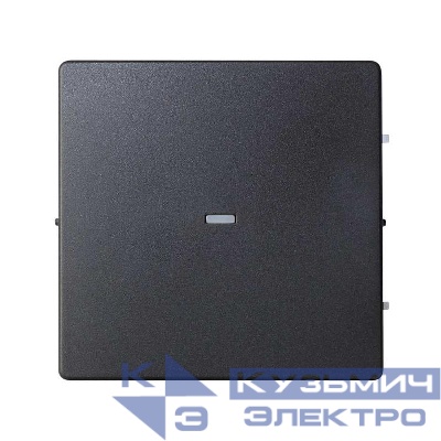 Клавиша с окном подсветки графит Simon82 Detail 8200011-038
