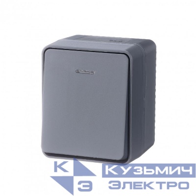 Выключатель 1-кл. ОП AtlasDesign PROFI IP54 10AX с подсветкой антрацит SE ATN544013