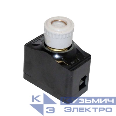 Предохранитель резьбовой ПРС-10 У3-П с плавкой вставкой ПВДI-10 У3 И Кашин 310010П02В010.00И000