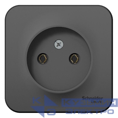 Розетка 1-м ОП Blanca 16А IP20 250В без заземл. без защ. шторок антрацит SE BLNRA000106