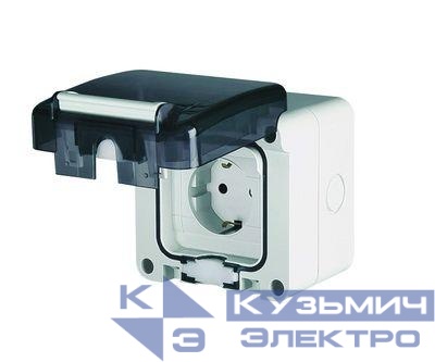 Розетка для поверхностного монтажа IP66 с вставленной вилкой DKC DIS1376407
