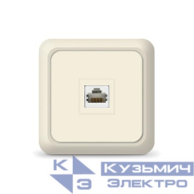 Розетка компьютерная 1-м Олимп сл. кость UNIVersal 1073