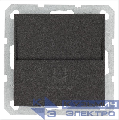 Выключатель карточный 10А IP20 отельный механизм антрацит Jasmart G6209B