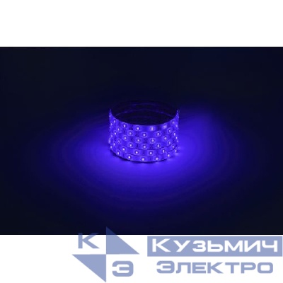 Лента светодиодная LS2835 -4.8-60-12-B-IP65-1 year-5m син. (уп.5м) Эра Б0059900