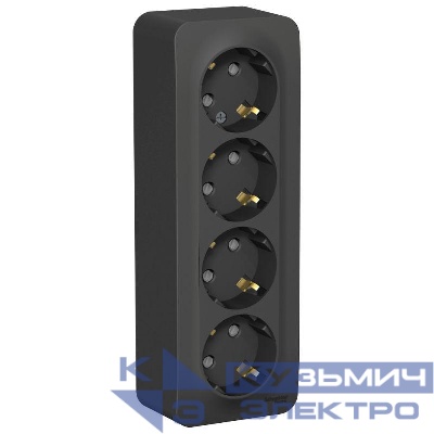 Розетка 4-м ОП Blanca 16А IP20 250В с заземл. защ. шторки с изолир. пластиной антрацит SE BLNRA011416