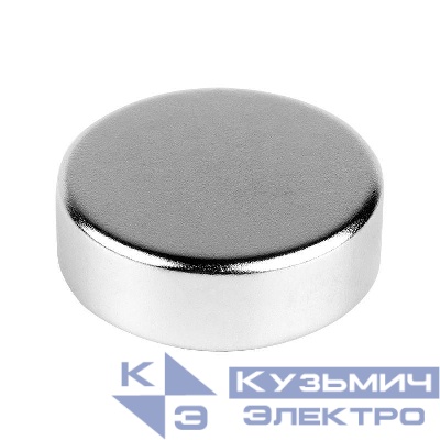 Магнит неодимовый диск 30х10мм сцепление 21кг Rexant 72-3003