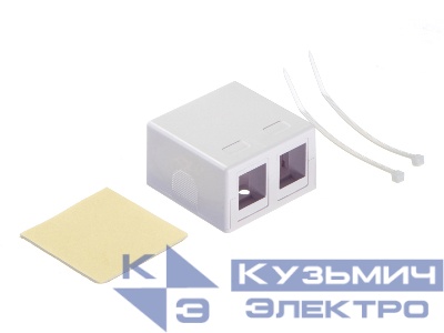 Корпус розетки KE30-2/ 2 порта / белый, NETKO Expert CKC
