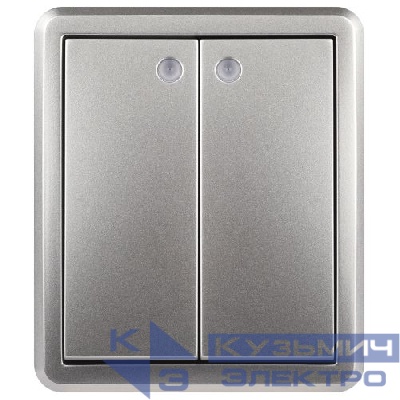 Выключатель 2-кл. ОП Эксперт 11-1205-03 10А IP20 250В 10AX с подсветкой алюм. Эра Б0063001