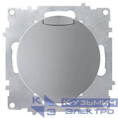 Розетка 1-м СП Florence 16А IP20 с заземл. с крышкой винтов. клеммы механизм сер. (1E10501302) OneKeyElectro 2172837