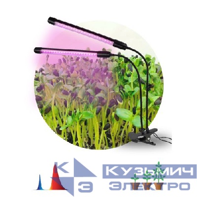 Светильник светодиодный FITO-20W-АLED-N 12Вт для растений красн./син. спектр на прищепке черн. Эра Б0053059