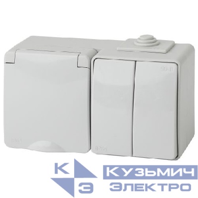 Блок розетка+выкл. ОП Эра Эксперт 11-7602-03 16А(10AX)-250В двойн. гориз. IP65 сер. ЭРА Б0035994