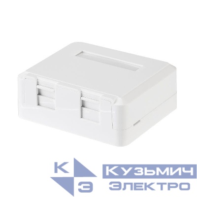 Корпус настенной розетки под 2 модуля Keystone Jack бел. Rexant 03-0251