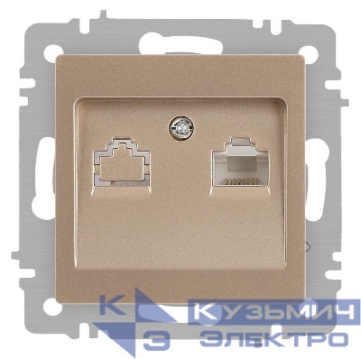 Розетка компьютерная 1-м СП Accent 6-303-04 RJ45 IP20 шампань Intro Б0063632