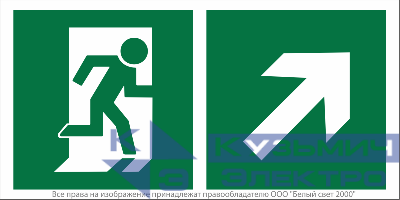 Знак безопасности BL-3517.E37"Напр. к эвакуационному выходу направо вверх" Белый свет a18610