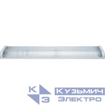 Светильник DPO B 1200 2хT8 G13 IP40 с рассеив. под 2 светодиод. лампы T8 2хG13 LED 12 Эра Б0071381