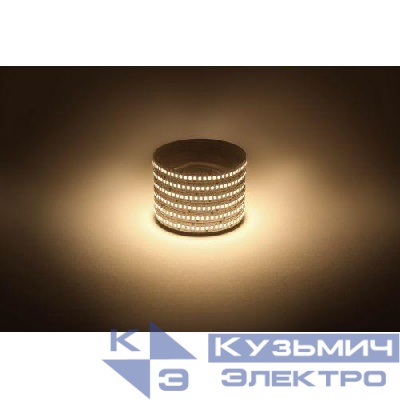 Лента светодиодная LS2835 -19.2-240-12-3000K-IP20-1 year-5m тепл. бел. (уп.5м) Эра Б0059906