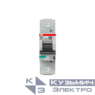 S801P-C100 Автоматический выключатель 1-полюсный 2CCG001227R0001