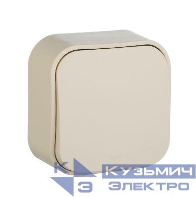 Выключатель 1-кл. ОП Quteo 10А IP20 10AX сл. кость IEK 782230