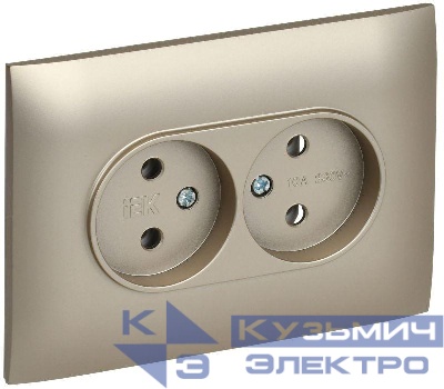 Розетка 2-м SKANDY 10А без заземл. без защ. шторок в сборе SK-R10Sh шампань IEK SK-R20-10-K37-F