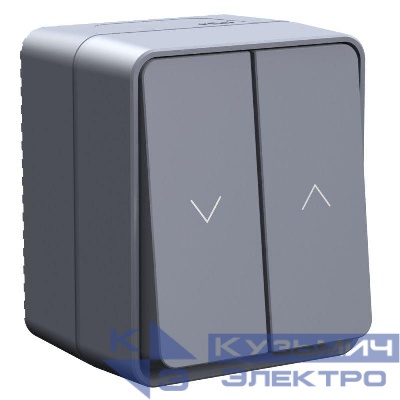 Выключатель для жалюзи 2-кл. ОП AtlasDesign PROFI 10А IP54 антрацит SE ATN544019