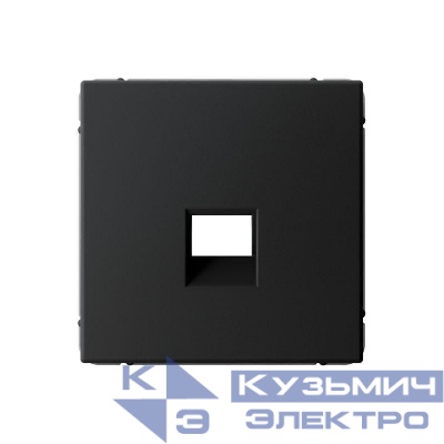 Накладка информационная ArtGallery типа Keystone карбон SE GAL001084