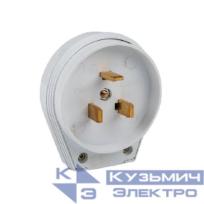 Вилка для разъема РШ-ВШ 32А 2P+PE 250В пластик. бел. EKF AS-250-B-01