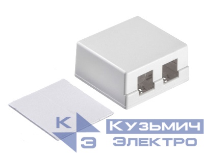Корпус внешний под розетку / 2 порта / белый