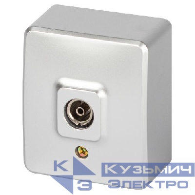 Розетка 1-м ОП Эксперт 11-3201-03 TV IP20 алюм. Эра Б0062996
