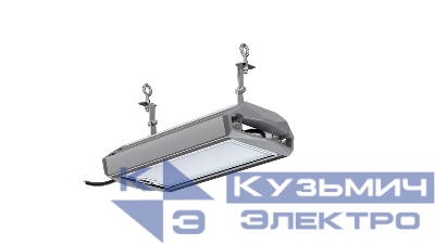 Светильник светодиодный ДСП 50 750 Д ЕСАУЛ IP66/67 промышлен. Технологии света УТ000020655