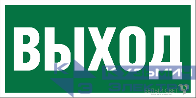 Знак безопасности NPU-3015.E22 «Выход» Белый свет a16558