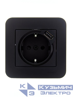 Розетка 1-м СП ASTI 16А IP20 с заземл. с заряд. устройством USB в сборе черн. бархат. LEZARD 7081-4242-181