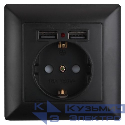 Розетка 1-м СП Solo 4-410-05 P+E Schuko 16А 250В + 2хUSB IP20 с заземл. защ. шторки антрацит Intro Б0053717