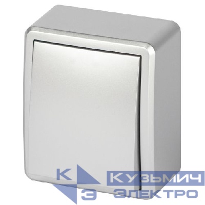 Выключатель 1-кл. ОП Эксперт 11-1201-03 IP20 10АХ-250В алюм. Эра Б0063014
