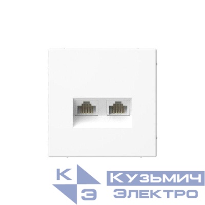 Розетка компьютерная 2-м ArtGallery RJ45 + RJ45 кат.5E механизм бел. SE GAL000185