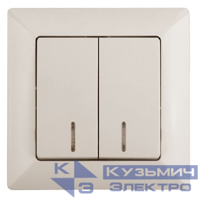 Выключатель 2-кл. СП Solo 4-105-02 10А 250В IP20 с подсветкой слон. кость Intro Б0053594