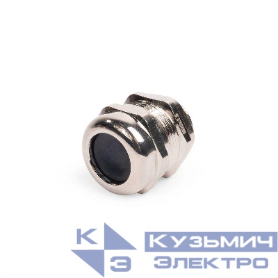 Ввод кабельный латунный MGM 25 (13-18мм) (уп.10шт) Fortisflex 87980