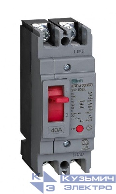 Выключатель автоматический 2п 40А 20кА ВА-301 DEKraft 28011DEK