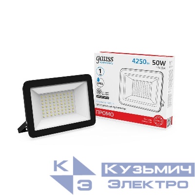 Прожектор светодиодный Elementary 50Вт 6500К IP65 4250лм 200-240В ДО ПРОМО G2 черн. GAUSS 613100350P