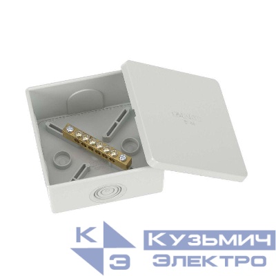 Коробка уравнивания потенциалов 6 зажимов 6 вводов д.20мм 80х80х40мм IP44 DKC NE3106