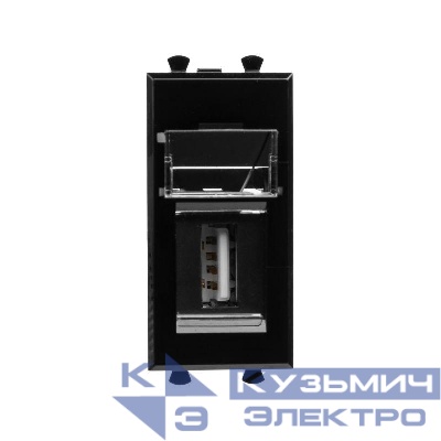 Розетка USB 1мод. Avanti "Черный квадрат" тип А-А модульная DKC 4402401