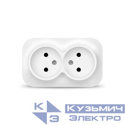 Розетка 2-м ОП 10А IP20 без заземл. бел. IONICH 1417
