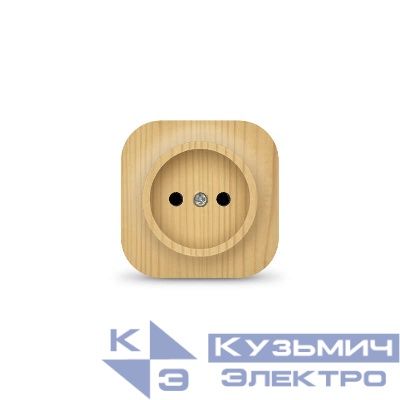 Розетка 1-м ОП 10А IP20 без заземл. сосна IONICH 1442